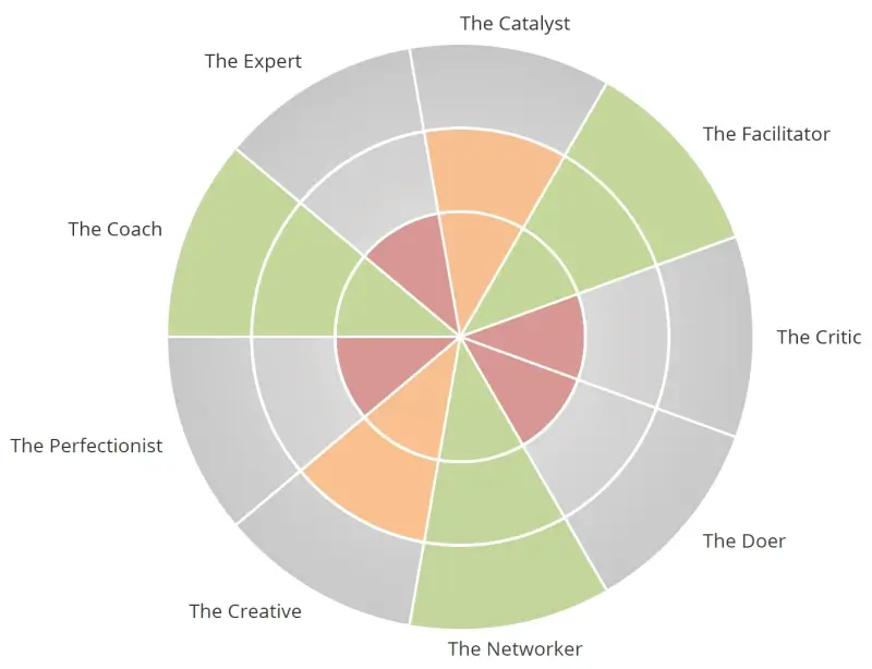 A screenshot of the 'Team Styles insight' part of The Quest Profiler® psychometric assessment, highlighting which roles within a team a candidate best aligns to.